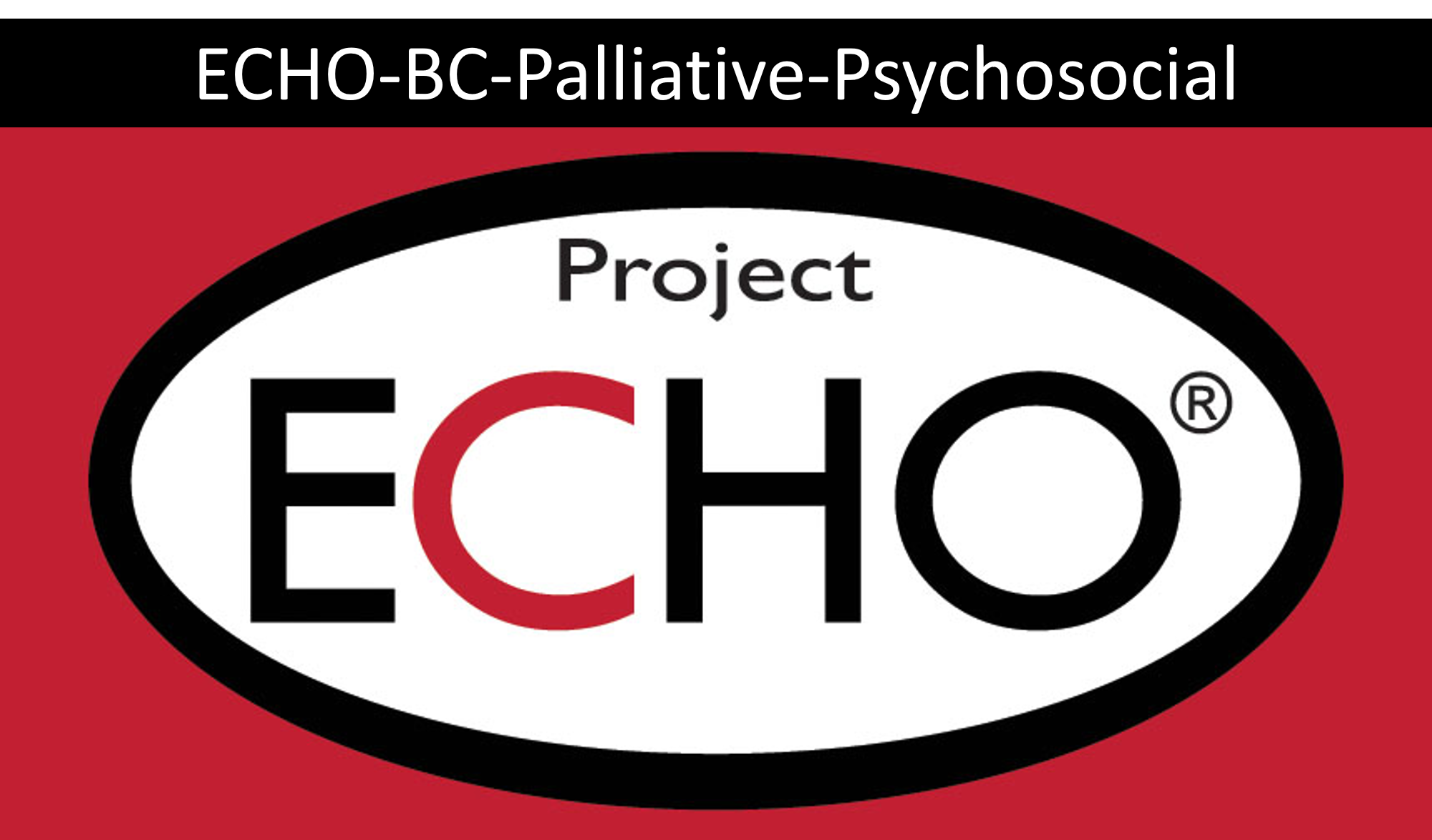 echo project logo