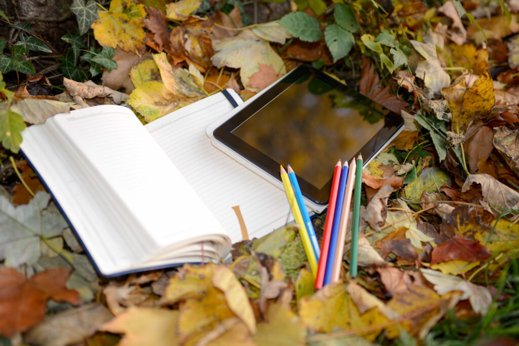 school supplies in autumn leaves